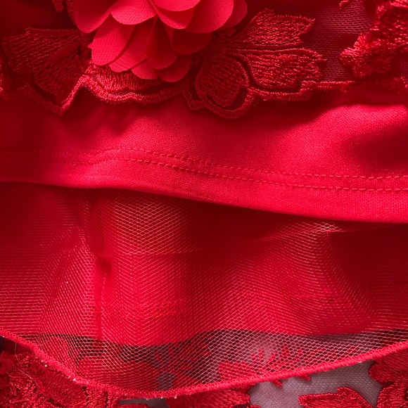 Fancy Party Dress with Velvet Bow and Roses - Picture 5 of 5